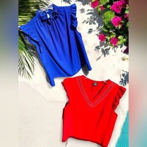 2 Women’s~Size L~Polyester Tops~”Shein” in Red & ”2 Hearts” in Cobalt Blue~TC